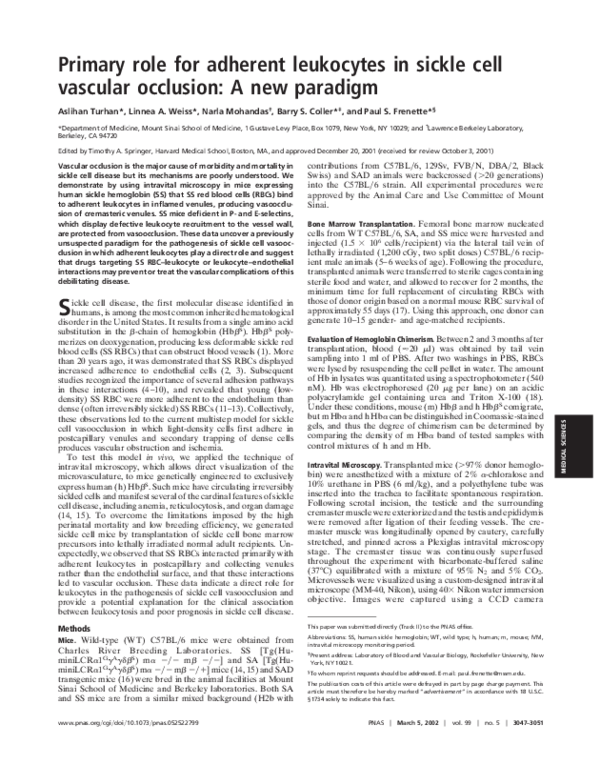 (PDF) Primary role for adherent leukocytes in sickle cell vascular ...