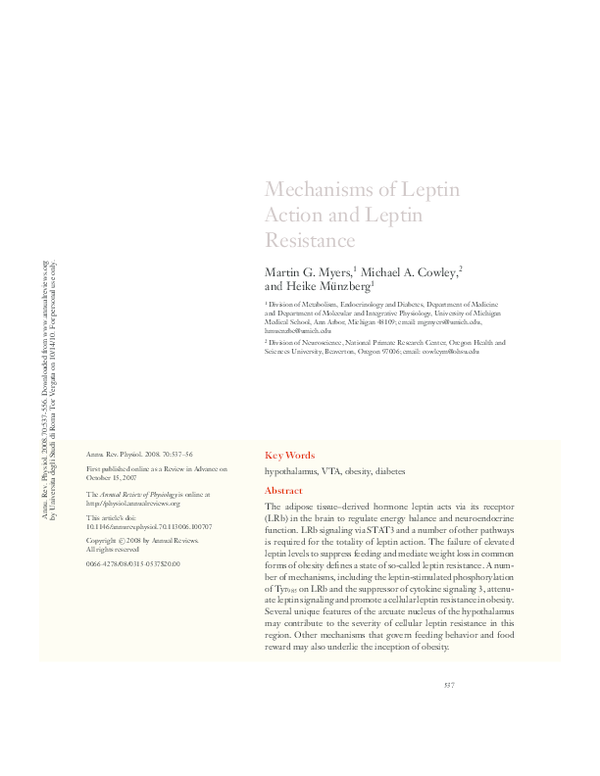 (PDF) Mechanisms of Leptin Action and Leptin Resistance
