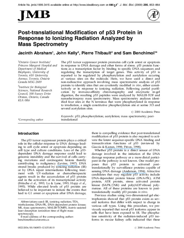 (PDF) Post-translational modification of p53 protein in response to ...