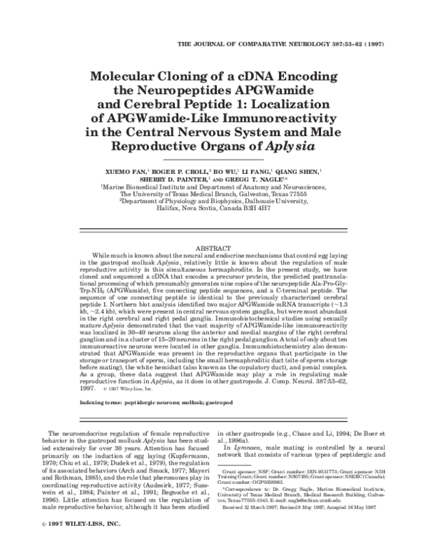 (PDF) Molecular cloning of a cDNA encoding the neuropeptides APGWamide ...