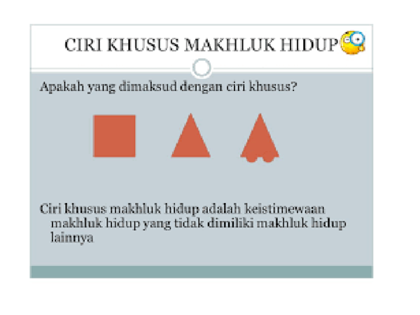 Apa Yang Dimaksud Dengan Ciri Khusus - Ini Cirinya