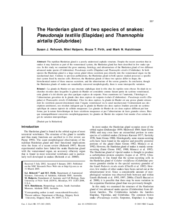 (PDF) The Harderian gland of two species of snakes: Pseudonaja textilis ...