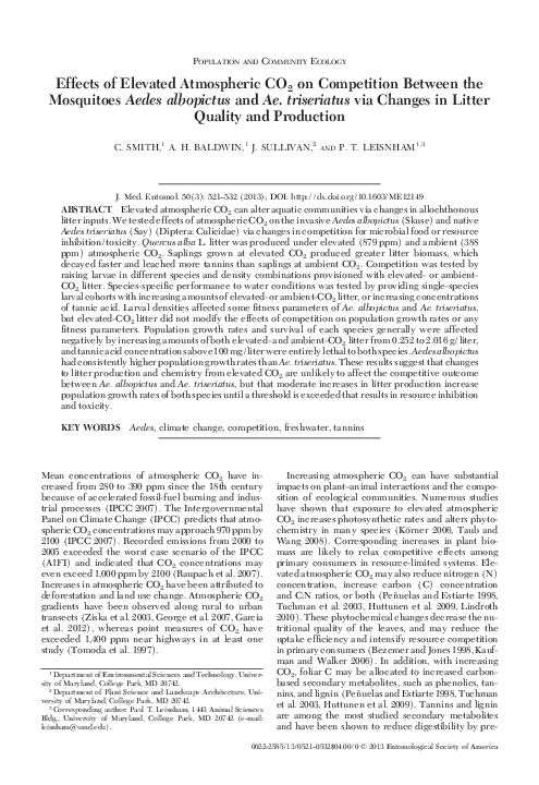 Aedes albopictus vs aedes aegypti image