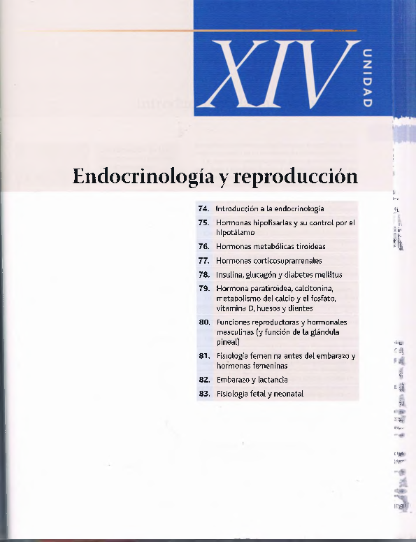 pcform metformin perdita di peso medio