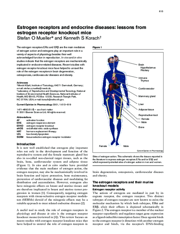 (PDF) Estrogen receptors and endocrine diseases: lessons from estrogen ...