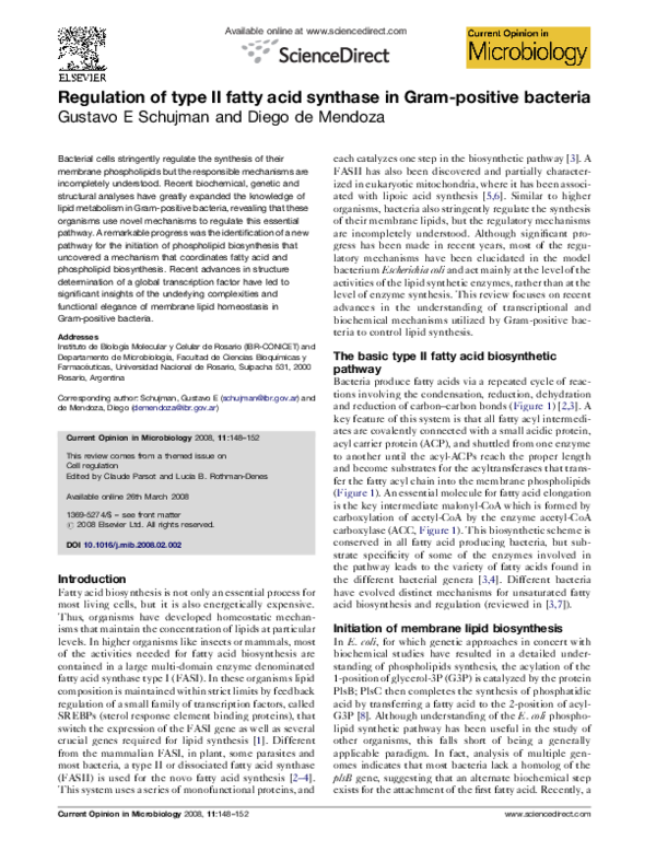 (PDF) Regulation of type II fatty acid synthase in Gram-positive bacteria