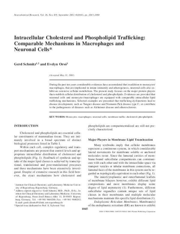 (PDF) Intracellular cholesterol and phospholipid trafficking ...