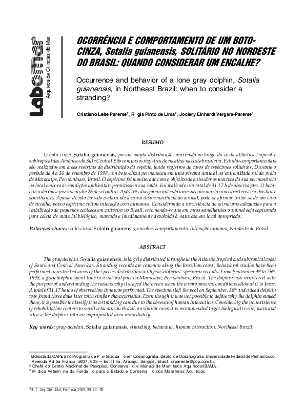 Testando boto essay 06 image