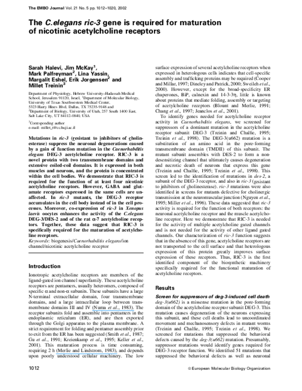Acetylcholine structure image