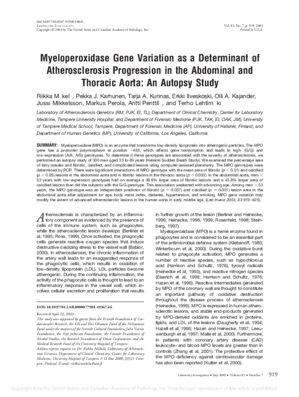(PDF) Myeloperoxidase Gene Variation as a Determinant of ...