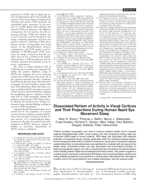 (PDF) Dissociated Pattern of Activity in Visual Cortices and Their ...
