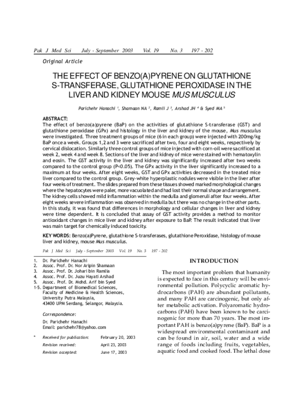 PDF) The effect of Benzo(a)Pyrene on glutathione S-transferase, glutathione  peroxidase in the liver and kidney mouse musmusculus