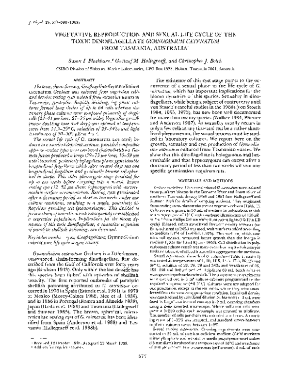Natural vegetative propagation picture