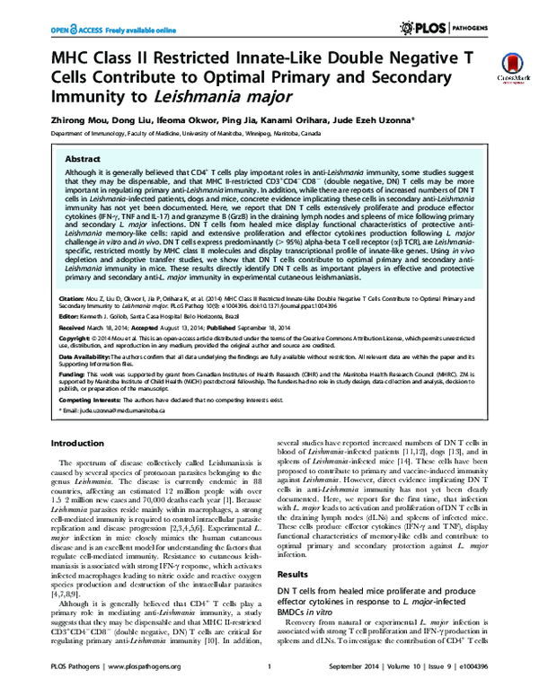 (PDF) MHC Class II Restricted Innate-Like Double Negative T Cells ...