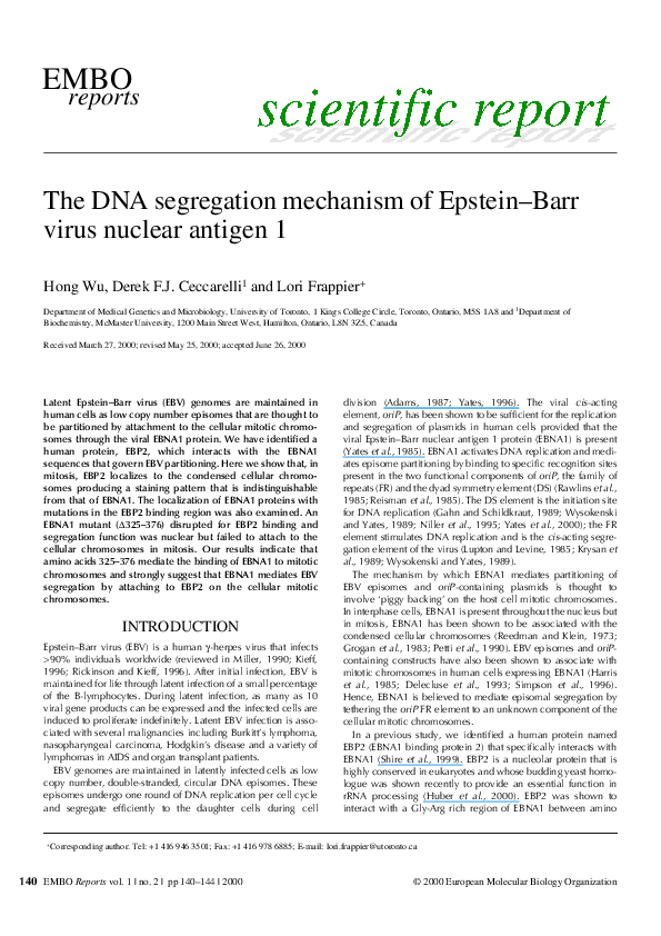 (PDF) The DNA segregation mechanism of Epstein-Barr virus nuclear antigen 1