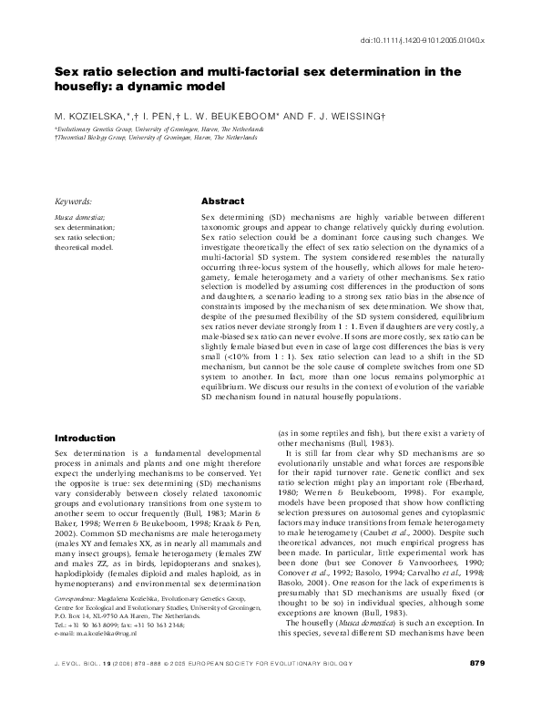 Morphology of housefly picture