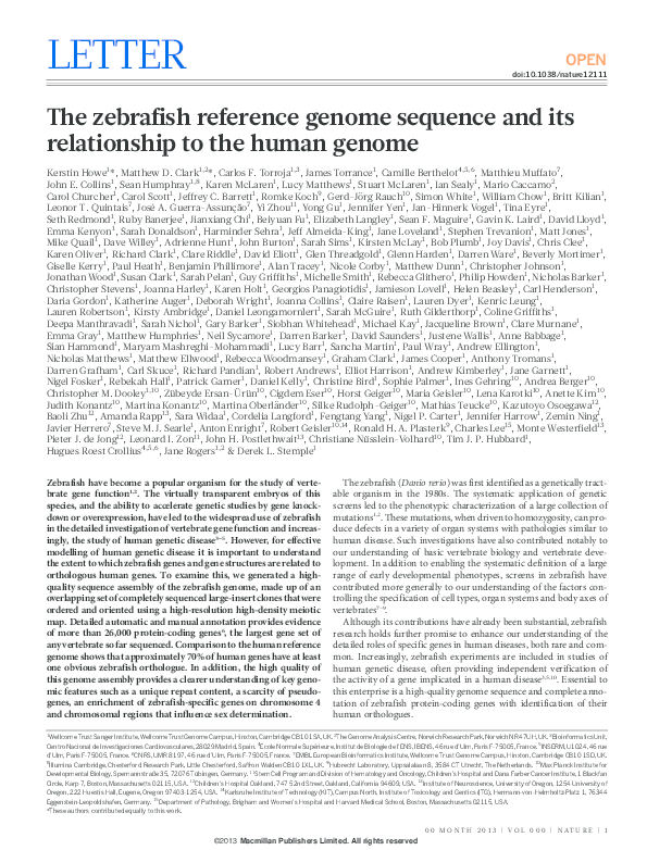 (PDF) The zebrafish reference genome sequence and its relationship to