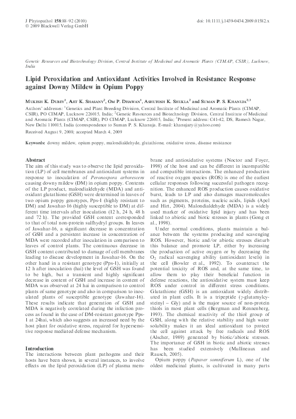 (PDF) Lipid peroxidation and antioxidant activities in diabetic rat ...