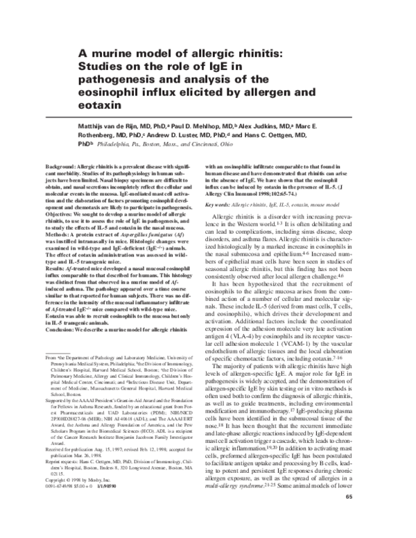 (PDF) A murine model of allergic rhinitis: Studies on the role of IgE ...