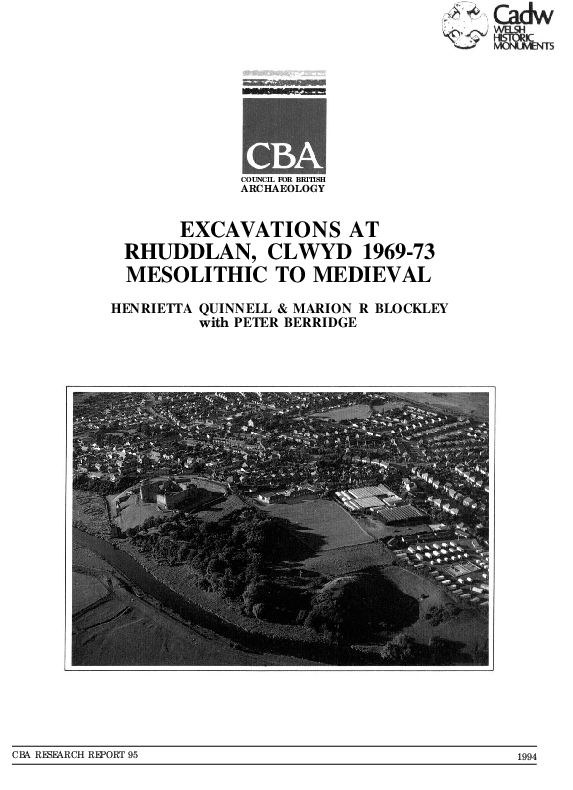 Electron microscopy, virus detection image