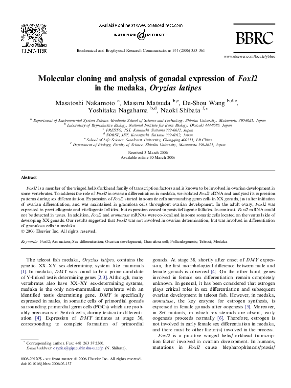 (PDF) Molecular cloning and analysis of gonadal expression of Foxl2 in ...