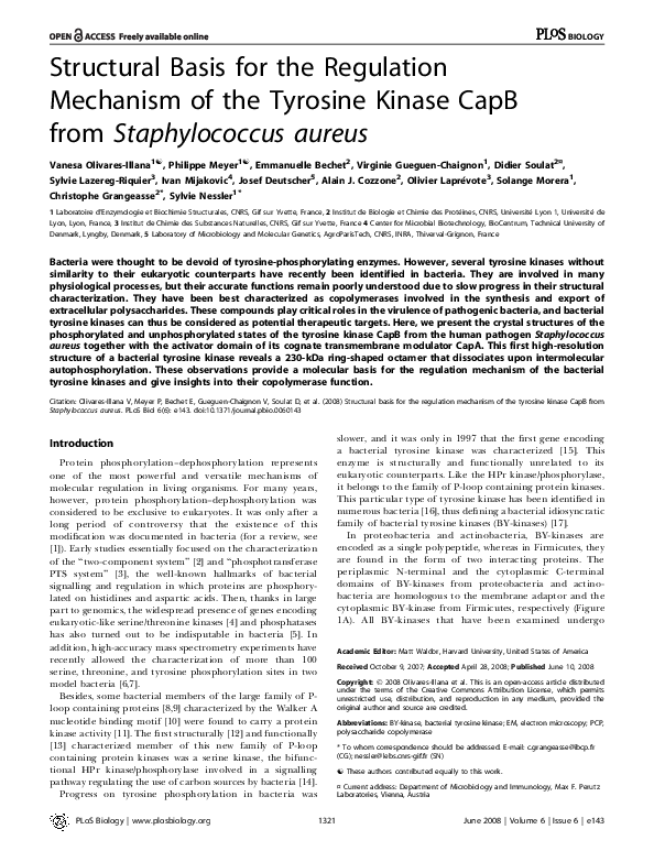 (PDF) Structural Basis for the Regulation Mechanism of the Tyrosine ...