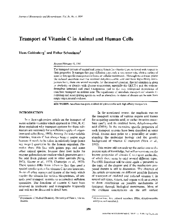 (PDF) Transport of vitamin C in animal and human cells