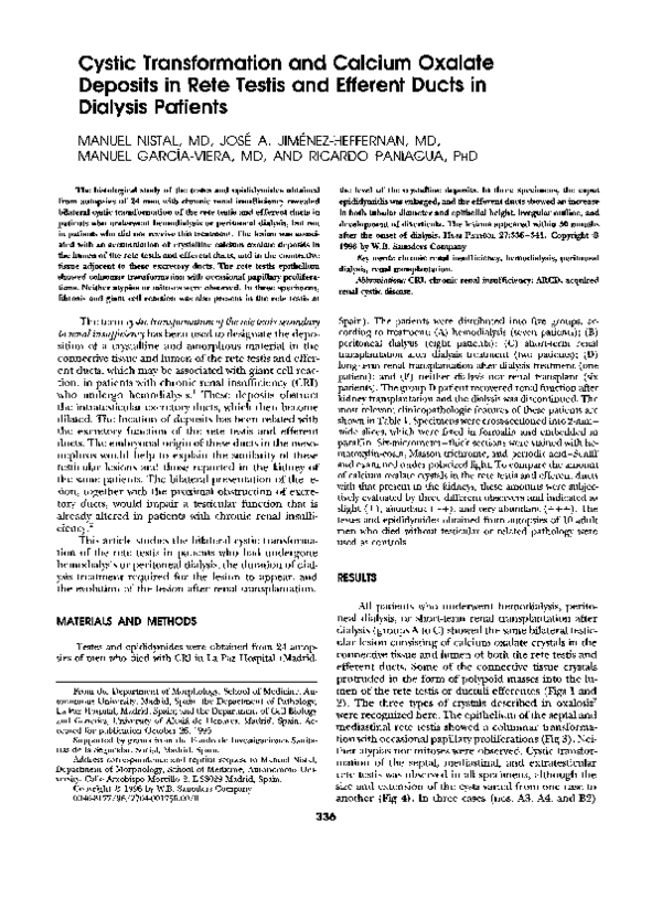 (PDF) Cystic transformation and calcium oxalate deposits in rete testis