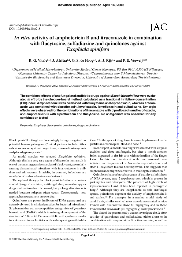 (PDF) In vitro activity of amphotericin B and itraconazole in