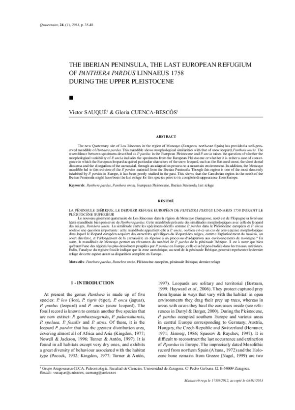 Refugium essay 04 picture