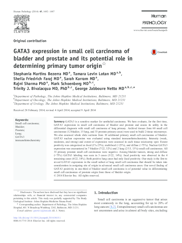 (PDF) GATA3 Expression in Small Cell Carcinoma of Bladder and Prostate ...