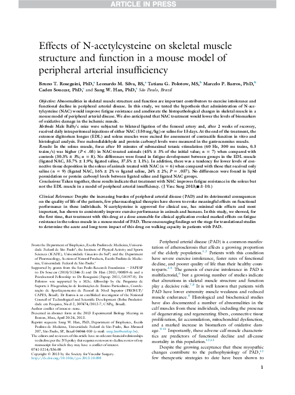 (PDF) Effects of N-acetylcysteine on skeletal muscle structure and ...