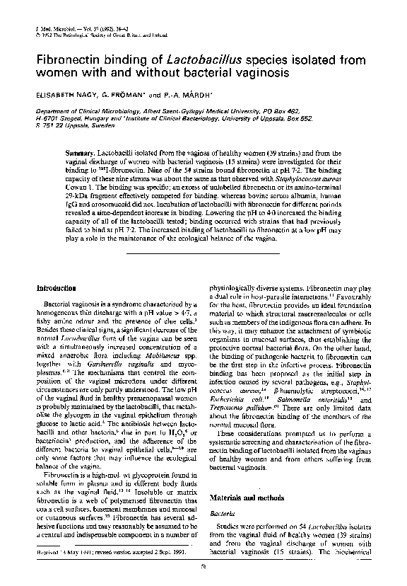 Lactobacillus shape image