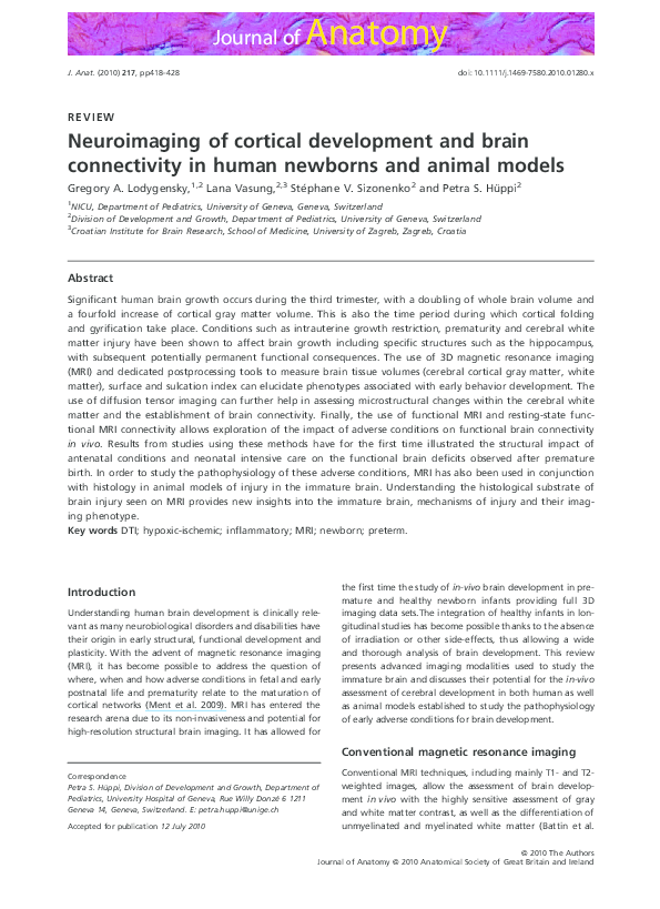 (PDF) Neuroimaging of cortical development and brain connectivity in ...