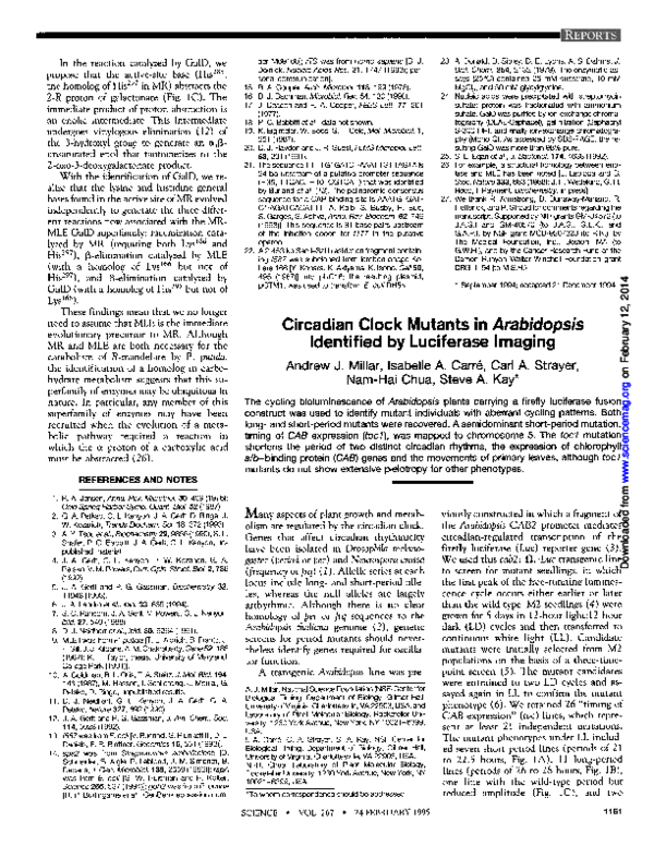 (PDF) Circadian clock mutants in Arabidopsis identified by luciferase ...