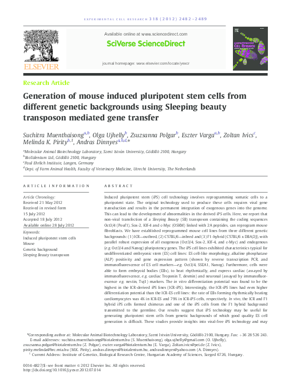 (PDF) Generation of mouse induced pluripotent stem cells from different ...