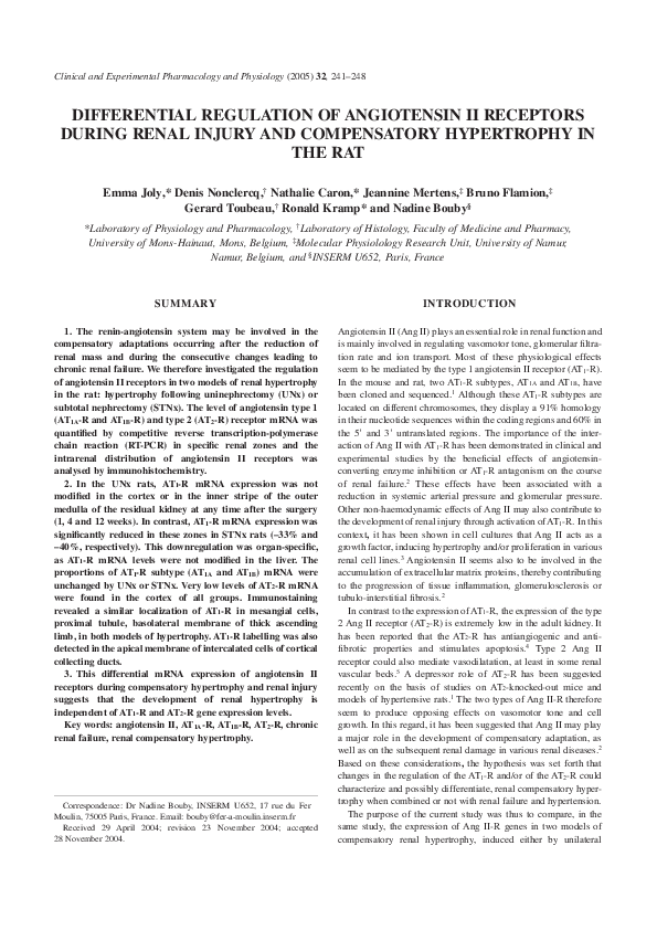 (PDF) Differential Regulation of Angiotensin II Receptors During Renal ...