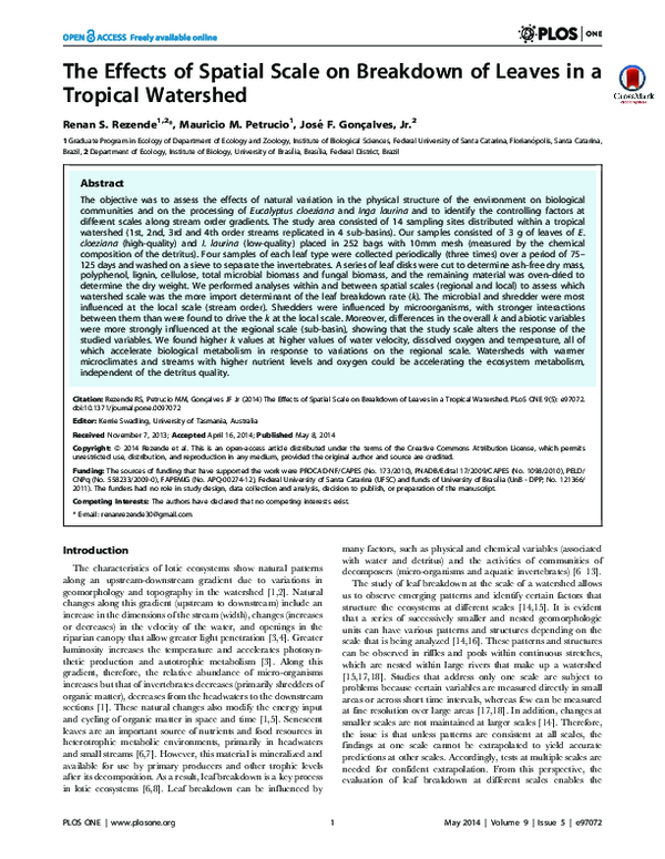 (PDF) The Effects of Spatial Scale on Breakdown of Leaves in a Tropical ...