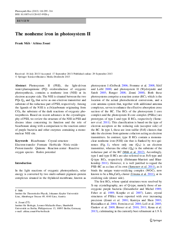 Differentiate the two types of photosystem picture