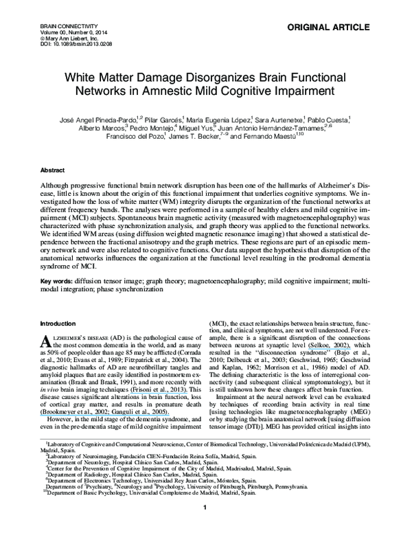 (PDF) White Matter Damage Disorganizes Brain Functional Networks in ...