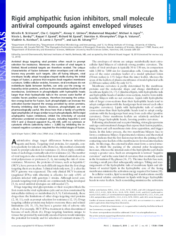 (PDF) Rigid amphipathic fusion inhibitors, small molecule antiviral ...