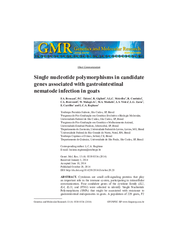 (PDF) Single nucleotide polymorphisms in candidate genes associated ...
