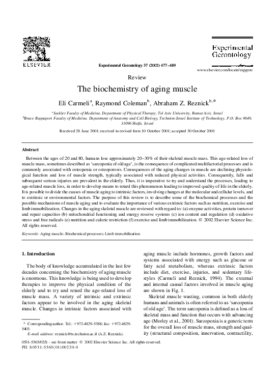 Abraham b yehoshua eli pfefferkorn essay 07 image