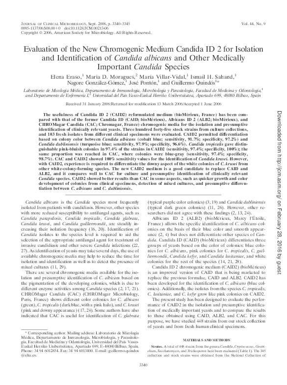 Candida yeast infection image