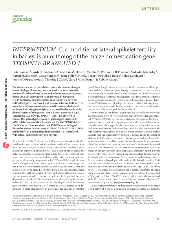 How did the domestication of maize help mesoamerica become a cultural hearth image