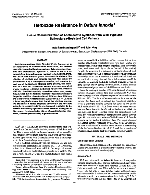 (PDF) Herbicide Resistance in Datura innoxia Characterization