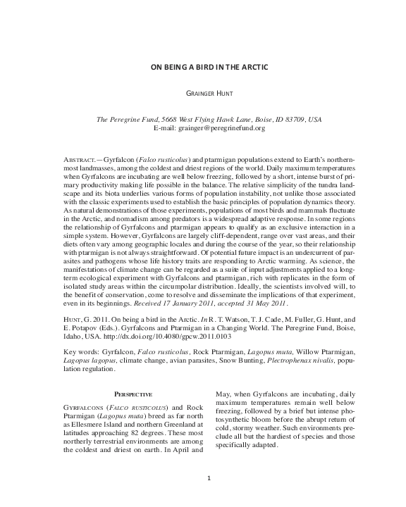 (PDF) On Being A Bird in the Arctic
