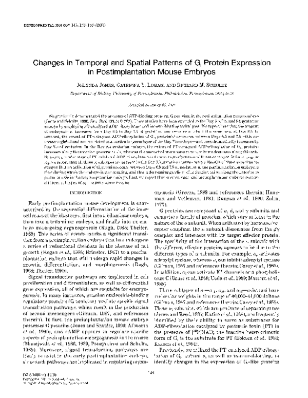 (PDF) Changes in temporal and spatial patterns of Gi protein expression ...