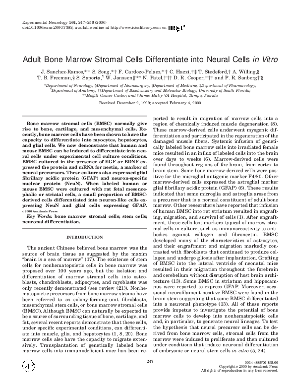 (PDF) Adult Bone Marrow Stromal Cells Differentiate into Neural Cells ...
