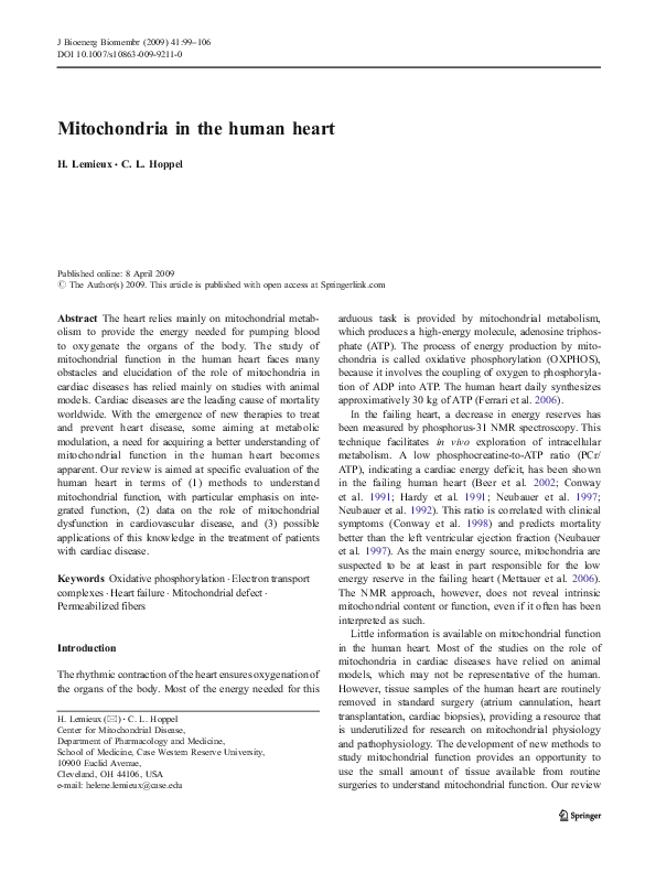 (PDF) Mitochondria in the human heart